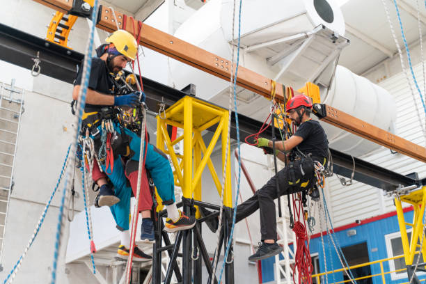 Two workers doing climbing training