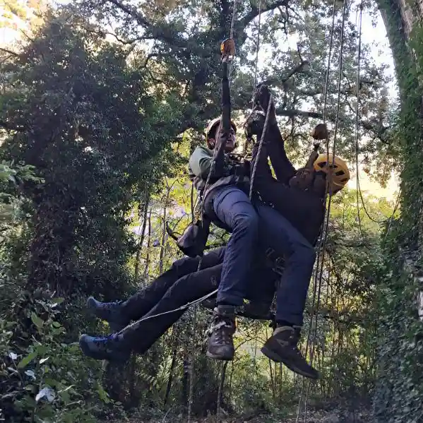 VERTEX CAMPUS Maintien d’acquis des compétences Cordiste