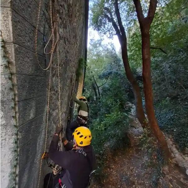 VERTEX CAMPUS Maintien d’acquis des compétences Cordiste