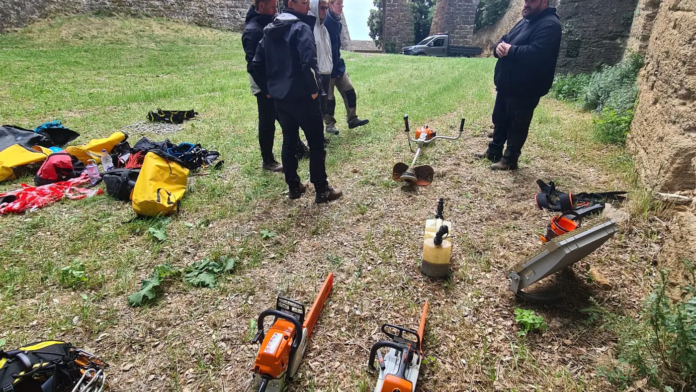 Formation accès aux arbres